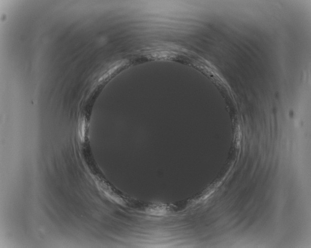 X0000086090076200703231441