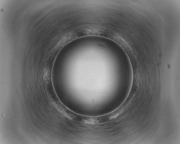 X0000086090079200703231441