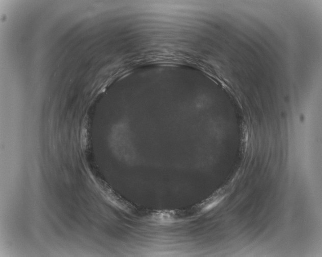 X0000086090080200703231441