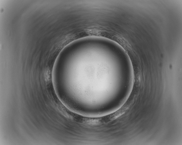 X0000086090081200703231441