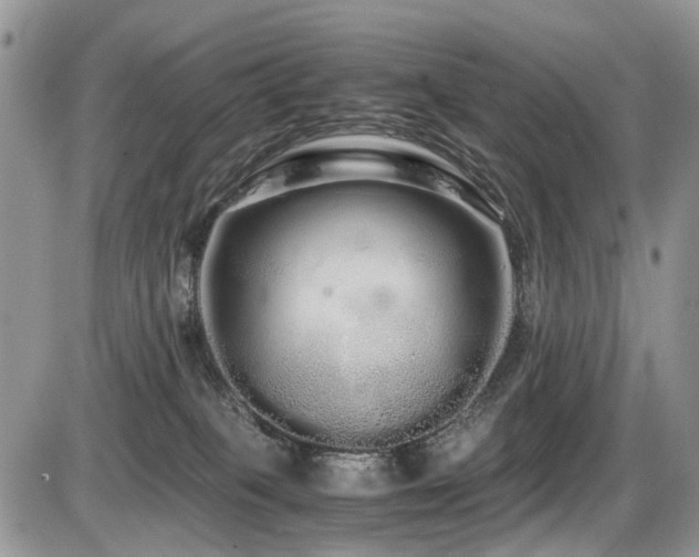 X0000086090085200703231441