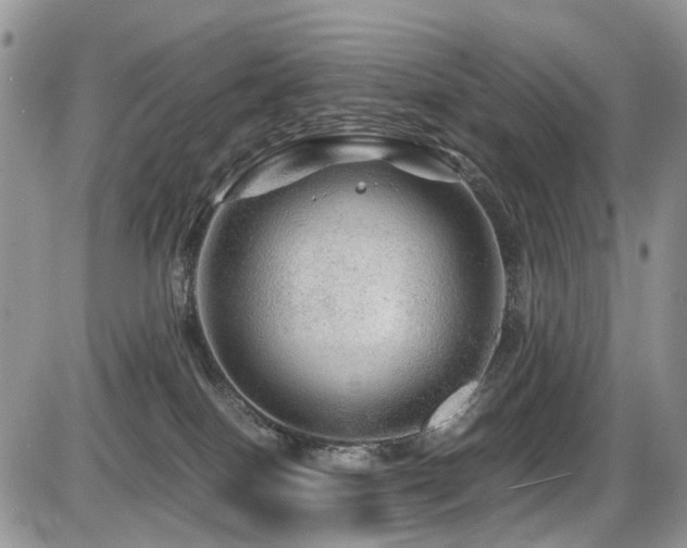 X0000086090086200703231441