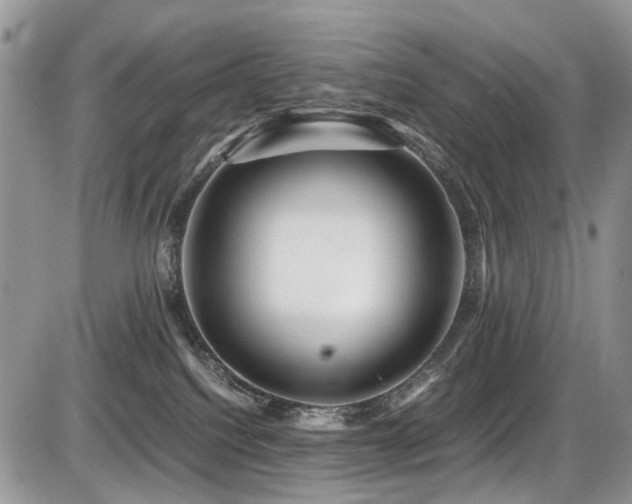 X0000086090088200703231441