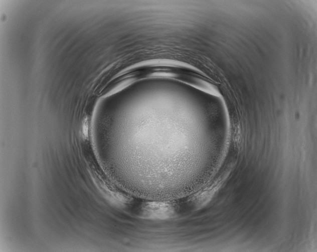 X0000086090095200703231441