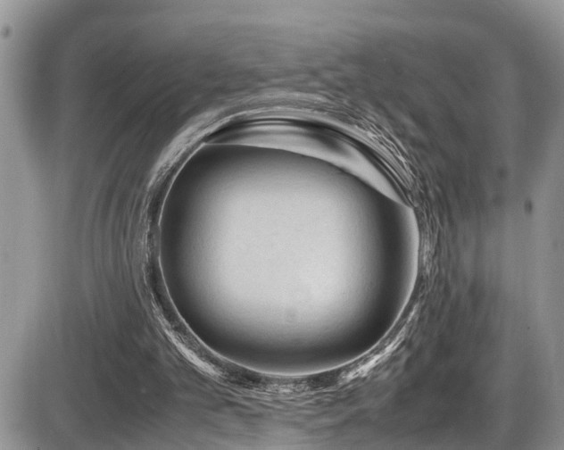 X0000086090101200703231440