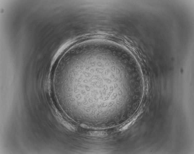 X0000086090102200703231440