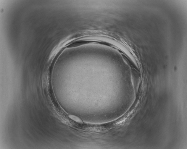X0000086090103200703231440
