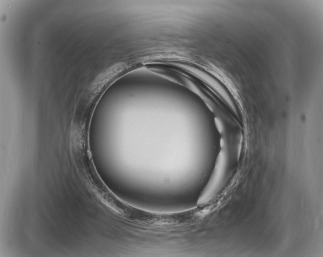 X0000086090105200703231440