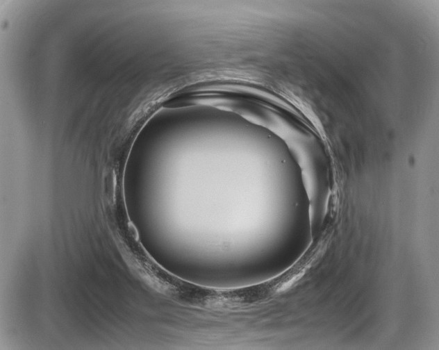 X0000086090109200703231440