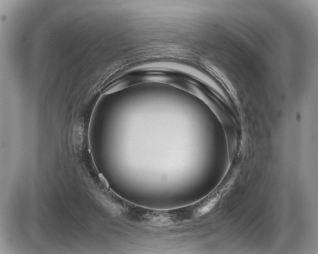 X0000086090113200703231440