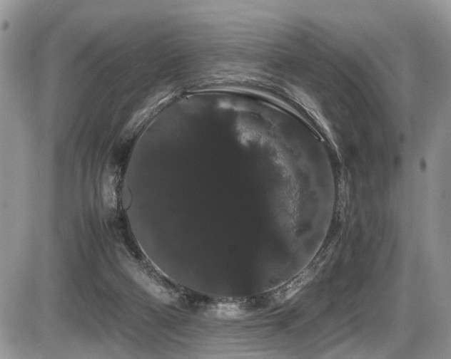 X0000086090114200703231440