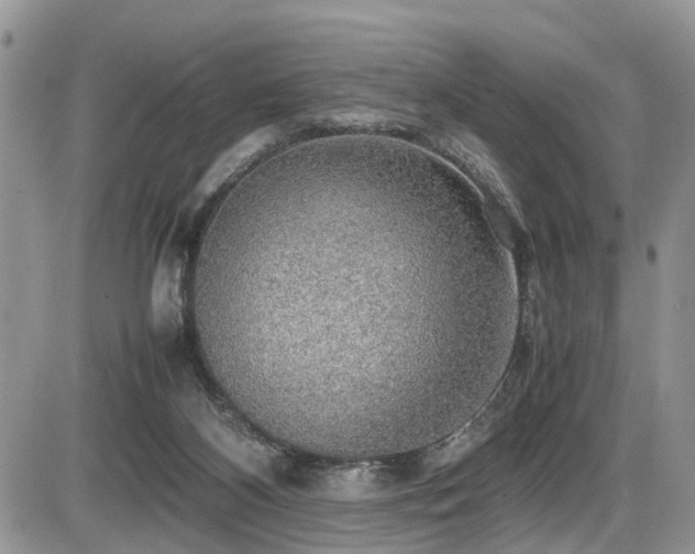 X0000086090116200703231440