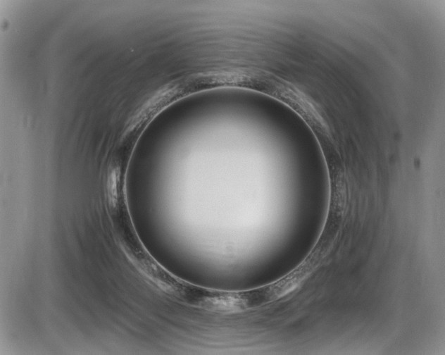 X0000086090118200703231440