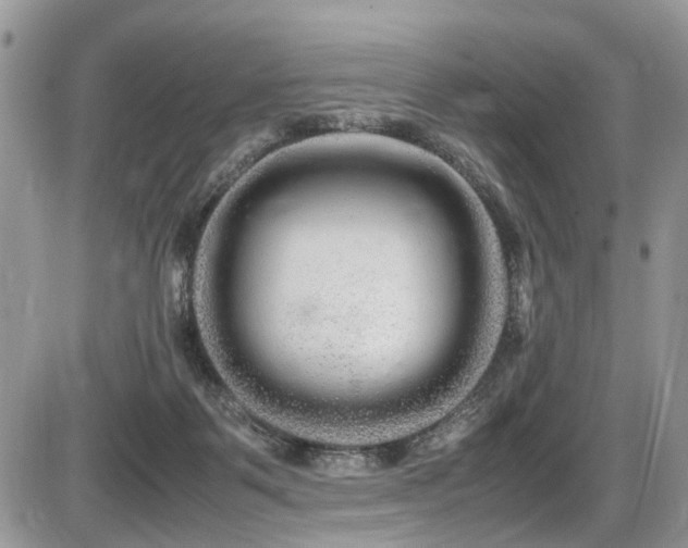 X0000086090123200703231440