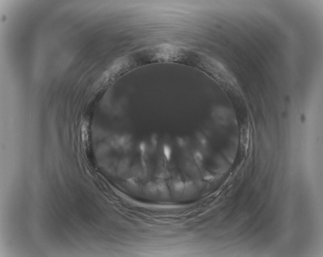 X0000086090127200703231440