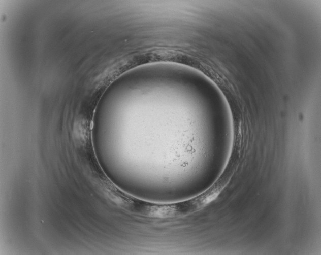 X0000086090135200703231440