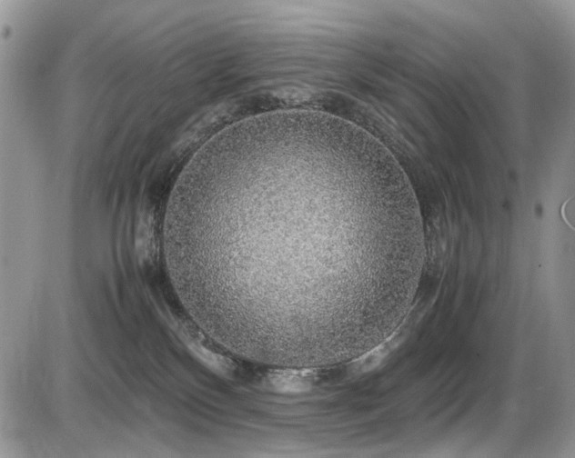 X0000086090136200703231440