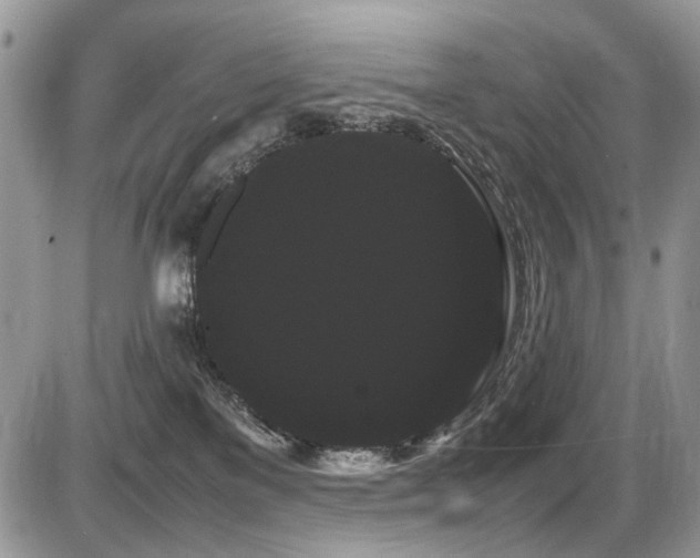 X0000086090137200703231440