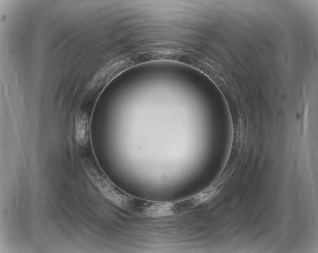 X0000086090138200703231440