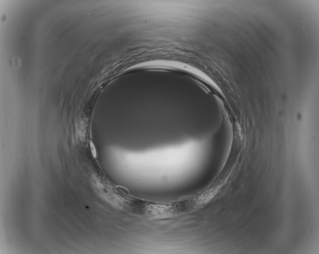 X0000086090139200703231440