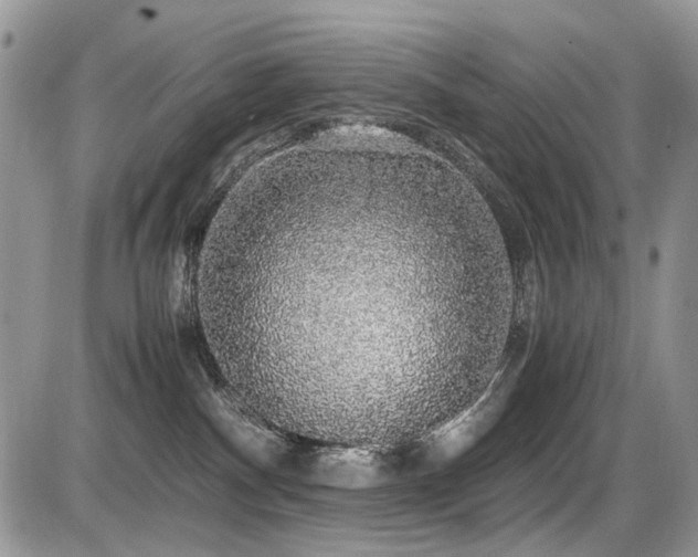 X0000086090140200703231440