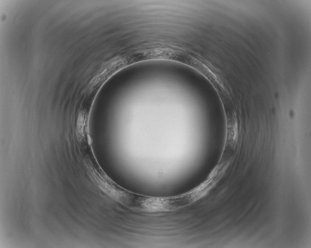 X0000086090142200703231440