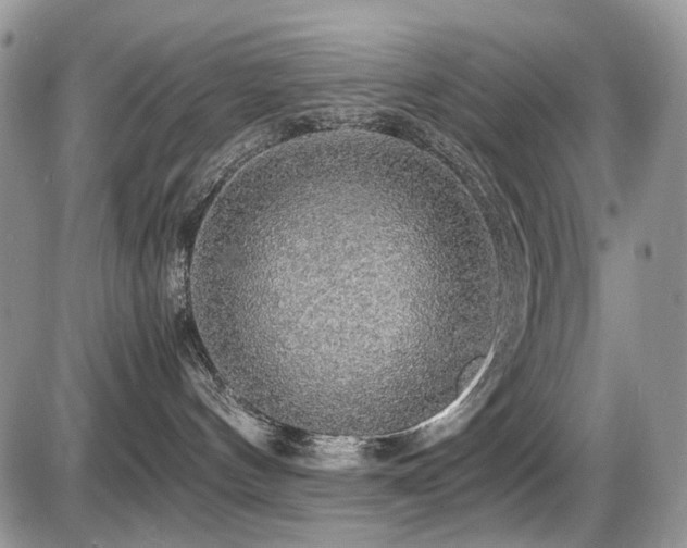 X0000086090144200703231440