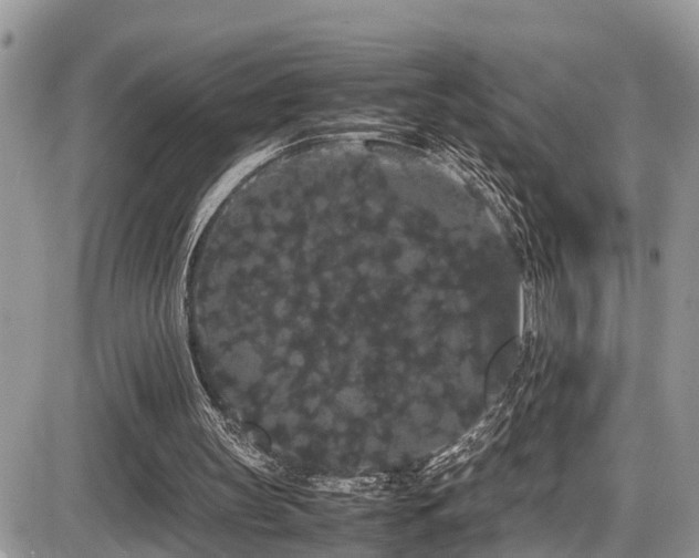 X0000086090147200703231439