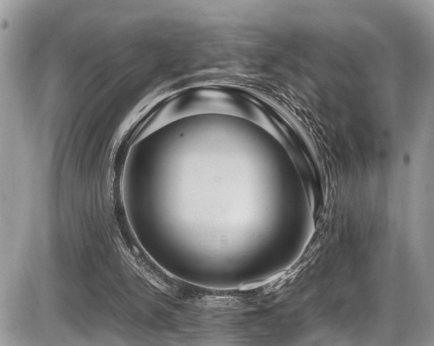 X0000086090150200703231439