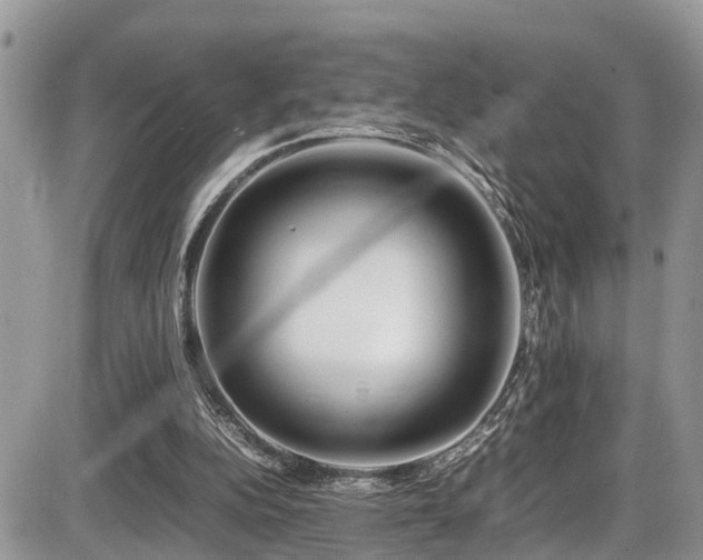 X0000086090152200703231439