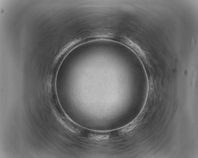 X0000086090155200703231439