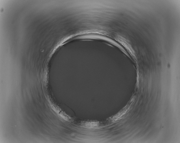 X0000086090156200703231439