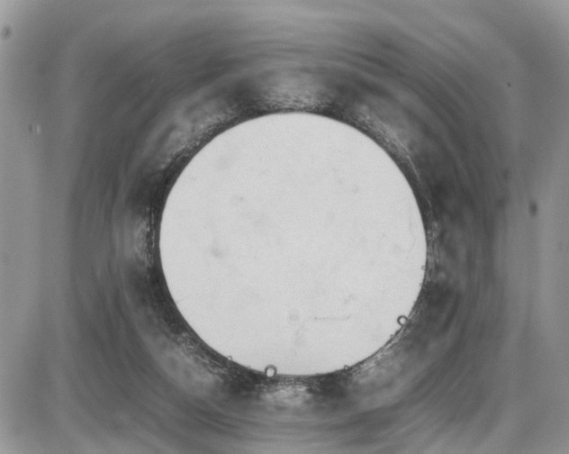 X0000086090162200703231439