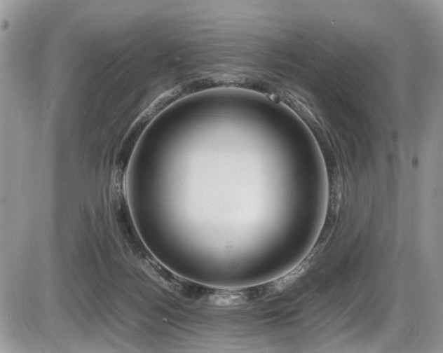 X0000086090172200703231439