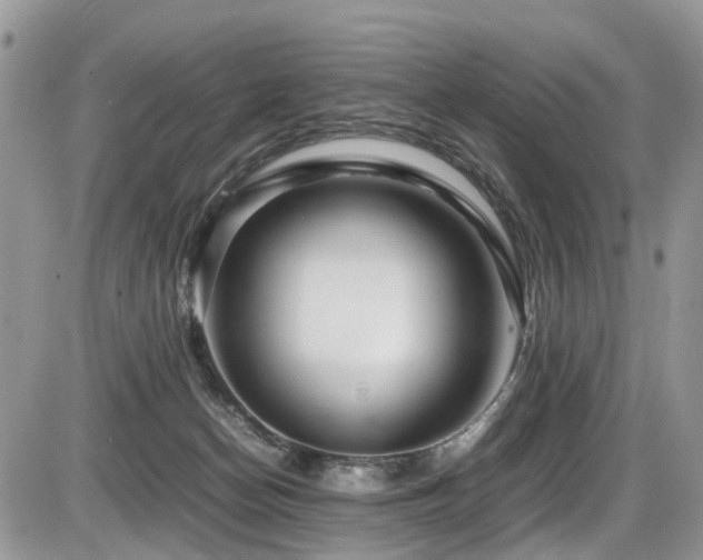 X0000086090174200703231439