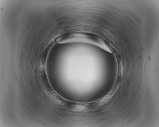 X0000086090176200703231439