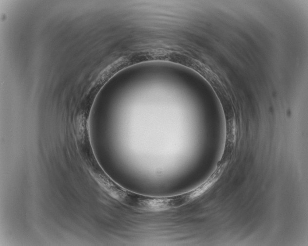 X0000086090184200703231439