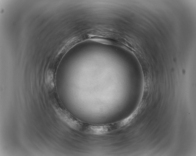 X0000086090187200703231439