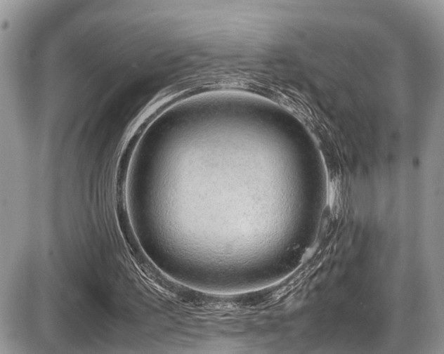 X0000086090195200703231439