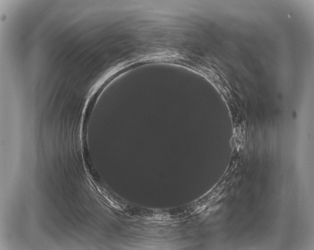 X0000086090196200703231439