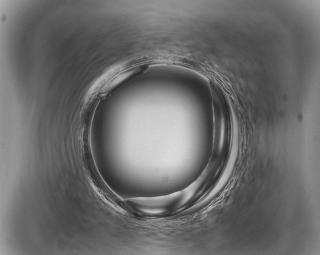 X0000086090197200703231439