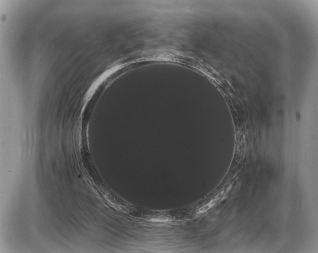 X0000086090200200703231439