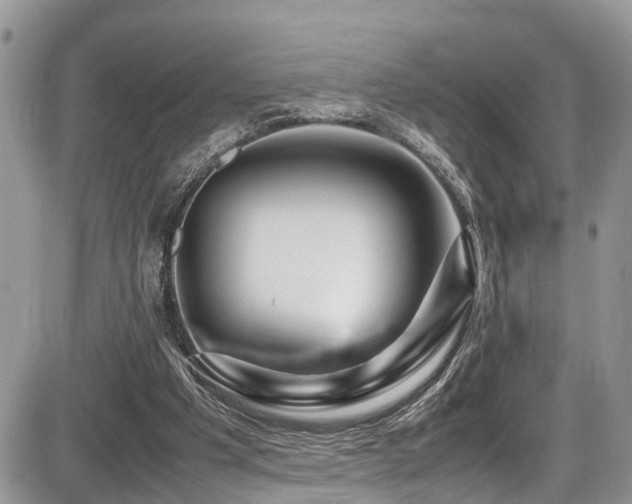 X0000086090201200703231439