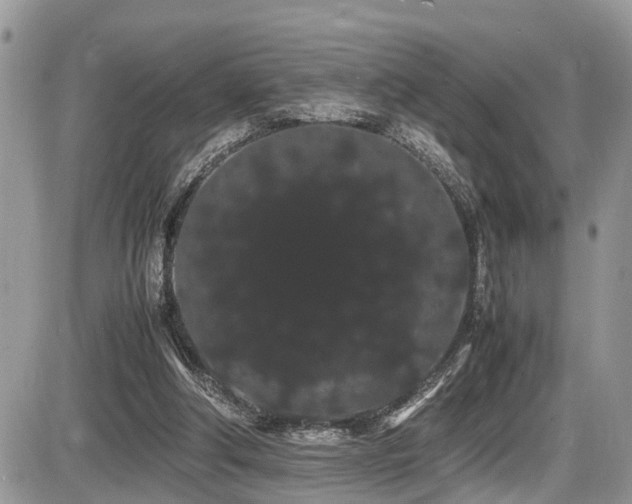 X0000086090202200703231439