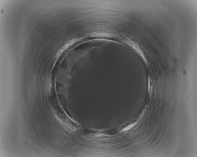 X0000086090204200703231439
