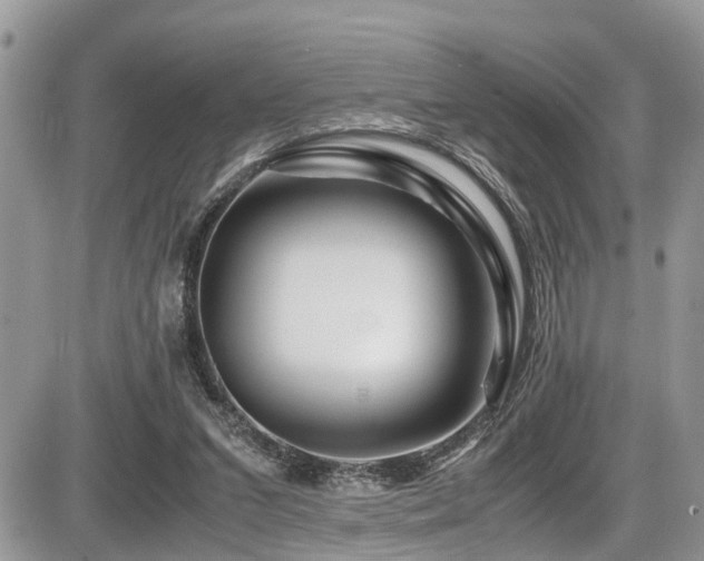 X0000086090207200703231439