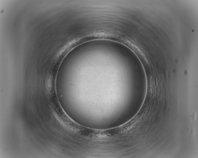 X0000086090208200703231439