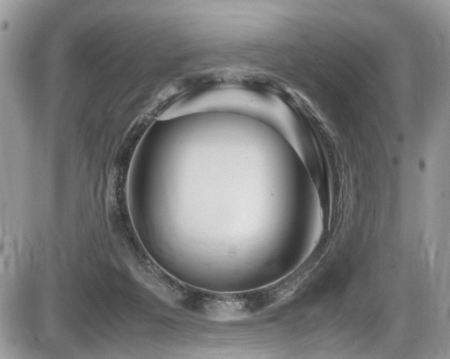 X0000086090217200703231438