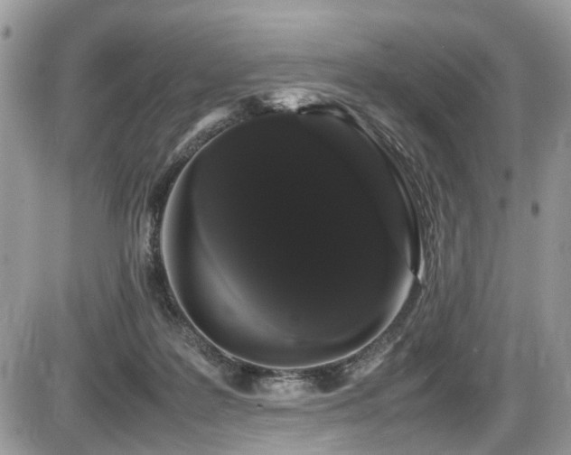 X0000086090219200703231438