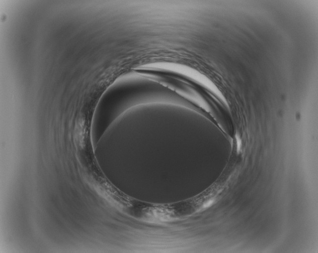 X0000086090223200703231438